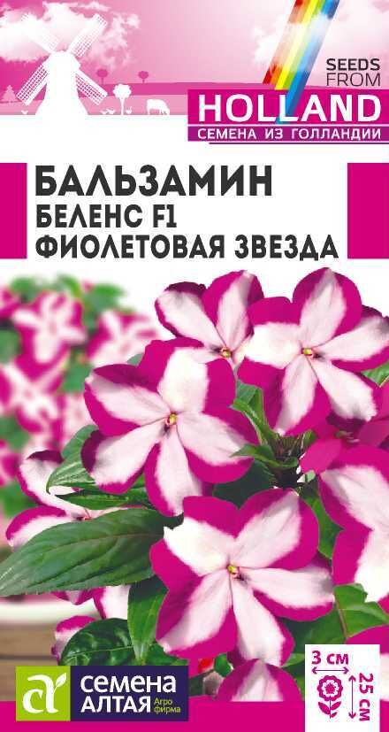 Семена Алтая Бальзамин Беленс Фиолетовая Звезда 15-20см 5шт (Голландия) СА/ЦВ