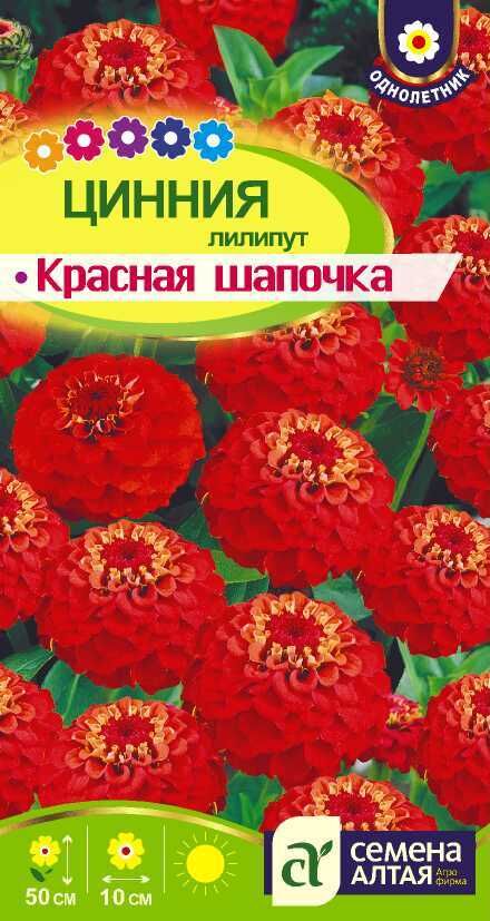 Цинния Лилипут Красная Шапочка махровая, ярко-красная, до 55см, однол 0,3гр СА/ЦВ