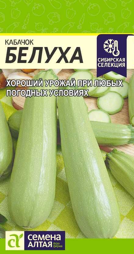 Семена Алтая Кабачок Белуха раннеспелый, светло-зеленый, куст 2гр СА/ЦВ 1/10