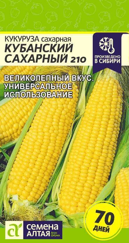 Семена Алтая Кукуруза Кубанский Сахарный 210/Сем Алт/цп 5 гр.