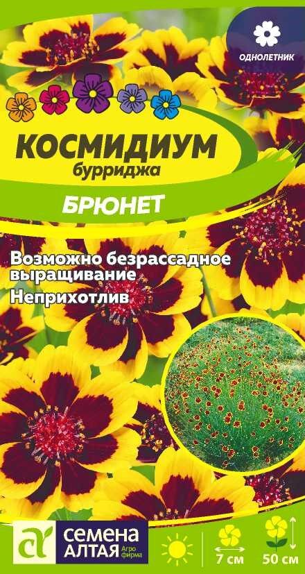 Семена Алтая Цветы Космидиум Брюнет/Сем Алт/цп 0,01 гр.