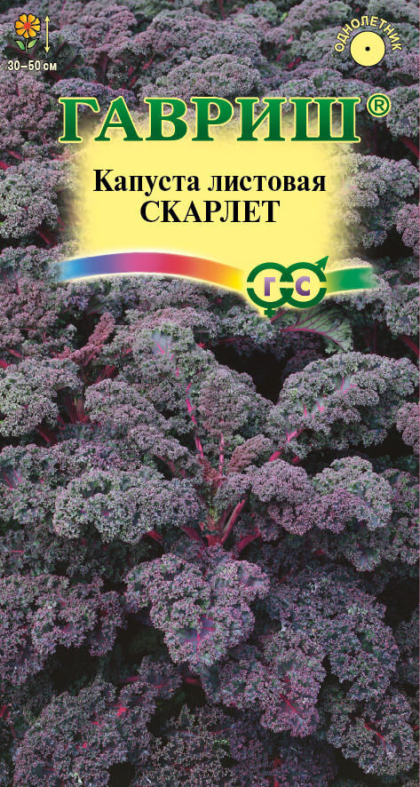Семена Алтая Капуста Листовая Скарлет /Гавриш/цп 0,3гр.