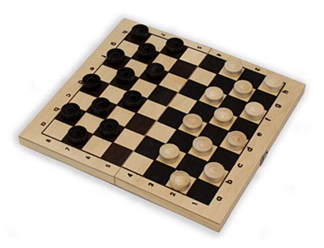 Рыжий кот шашки ин 7513