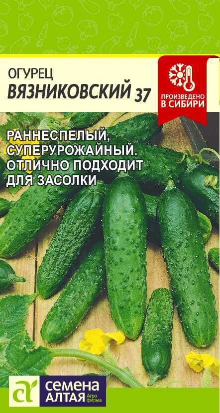 Семена Алтая Огурец Вязниковский 37/Сем Алт/цп 0,5 гр.