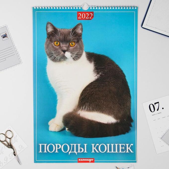 Календарь перекидной на ригеле &quot;Породы кошек&quot; 2022 год, 320х480 мм