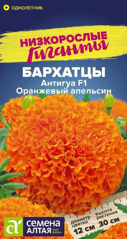 Семена Алтая Бархатцы Антигуа F1 Оранжевый апельсин/Сем Алт/цп 5 шт. Низкорослые гиганты