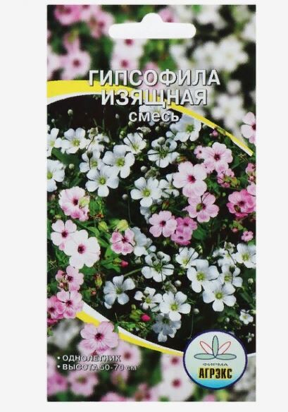 Агрэкс Семена цветов Гипсофила изящная смесь окрасок, О, 0,1 г