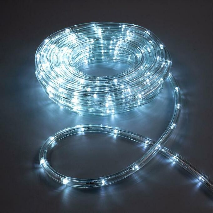 Luazon Lighting LED шнур 10 мм, круглый, 10 м, чейзинг, 2W-LED/м-24-220V, с контр. 8р, БЕЛЫЙ