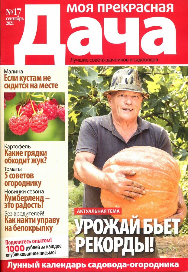 моя прекрасная дача 2020. моя прекрасная дача. журнал моя дача. моя прекрасная дача 2022. моя прекрасная дача 2022.