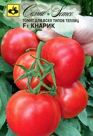 СЕМКО Томат Кнарик (новинка 2021) Раннеспелые гибриды с округлыми плодами массой свыше 250 г (БИФ-томаты)