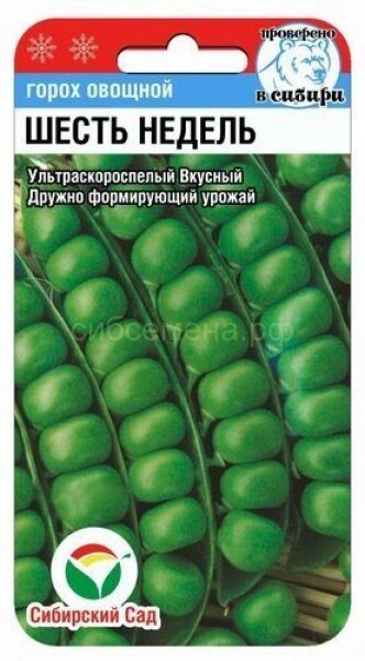 Семена для Сибири Горох 6 недель (Сиб сад)