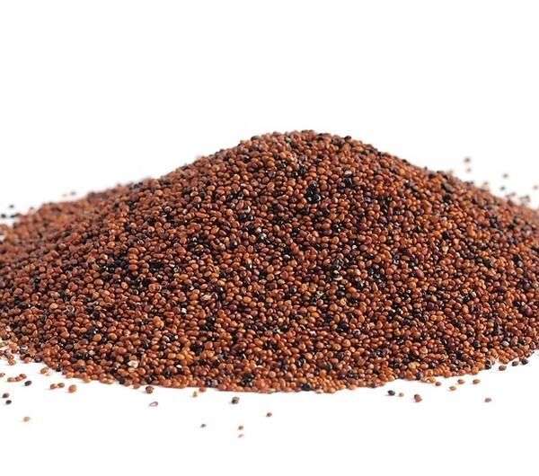 Канихуа Премиум, зерно, (Canihua Premium grain), Перу 500гр