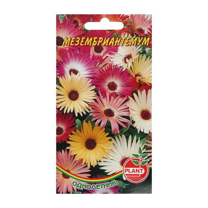 Семена цветов Мезембриантемум, 0,05 г