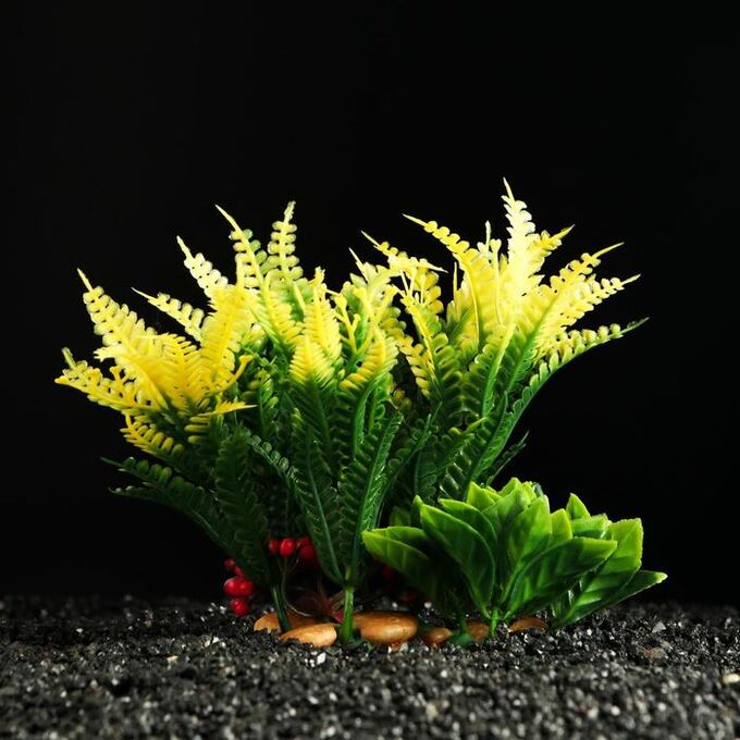 СИМА-ЛЕНД Растение искусственное аквариумное Пижон Аква, на камнях, 18 х 13 см