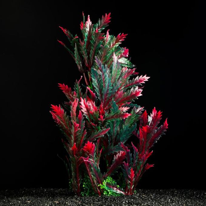Растение искусственное аквариумное, 28 см, красно-зелёное