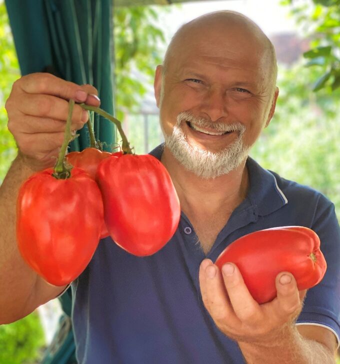 томат калабрези характеристика и описание