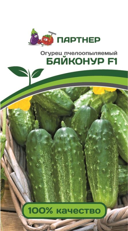 Огурцы Трюкач Описание Отзывы И Фото Характеристика — Фото
