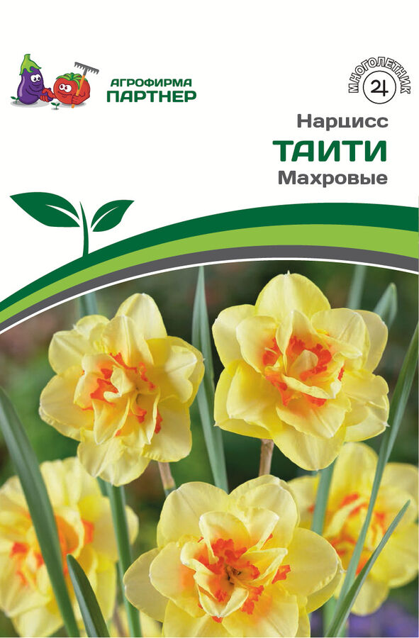 Вафельные нарциссы махровые 70 шт ip8712