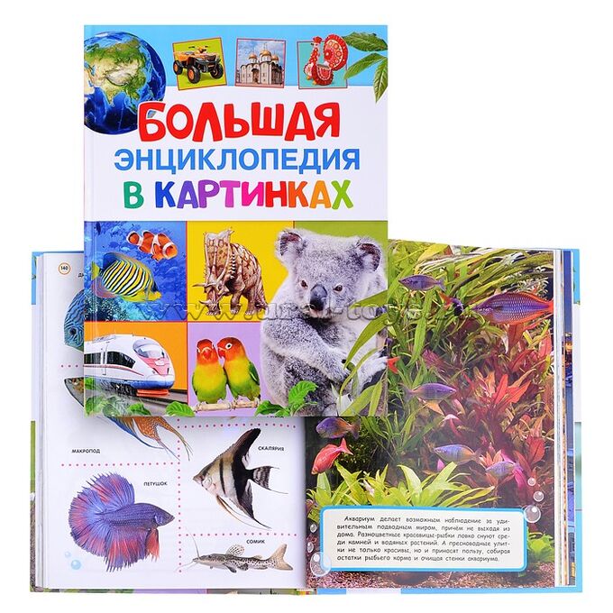 Детская энциклопедия в картинках. Большая энциклопедия в картинках котятова н. Книга энциклопедия. Большая энциклопедия в картинках росмэн. Энциклопедия для самых маленьких росмэн.