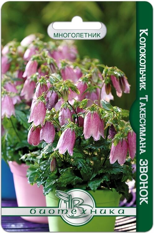 БиоТехника Колокольчик Такесимана Звонок 200 шт.Цветоносы до 50 см. в высоту