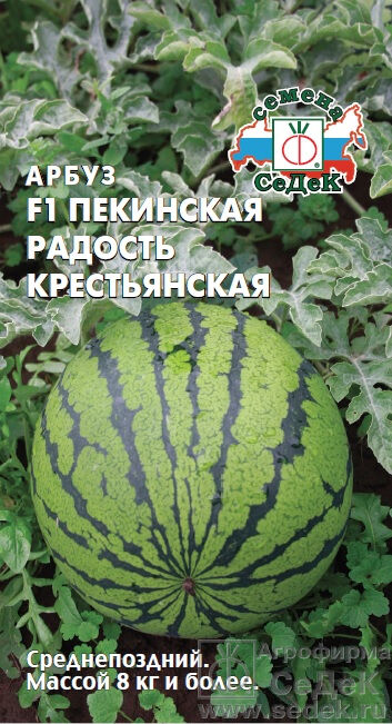 Седек Арбуз Пекинская радость  F1. Евро, 1г.  тип упаковки Евро