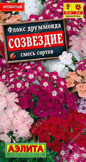 Агрофирма АЭЛИТА Флокс друммонда Созвездие, смесь сортов