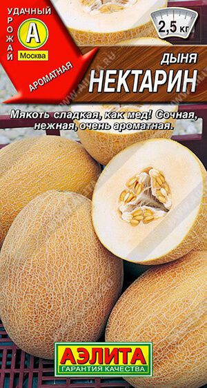 Агрофирма АЭЛИТА Дыня Нектарин