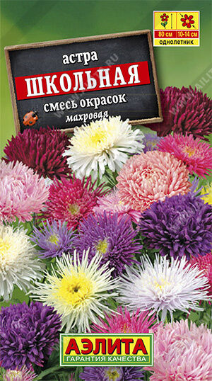 Агрофирма АЭЛИТА Астра Школьная, смесь окрасок