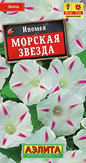 Агрофирма АЭЛИТА И п о м е я  Морская звезда
