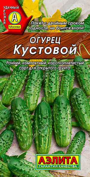 Аэлита Огурец Кустовой