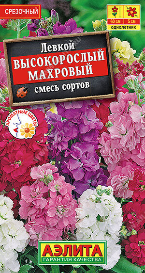 Левкой Высокорослый махровый, смесь сортов