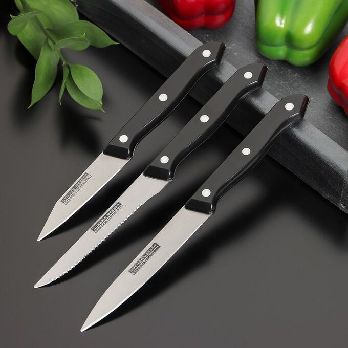 СИМА-ЛЕНД Набор кухонных ножей «Кулинарные изыски», 3 предмета, лезвие 8 см, 11 см, 11 см, цвет чёрный