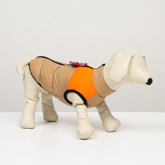 СИМА-ЛЕНД Куртка для собак на молнии, размер 8 (ДС 23 см, ОГ 30, ОШ 22 см), бежевая с оранжевым