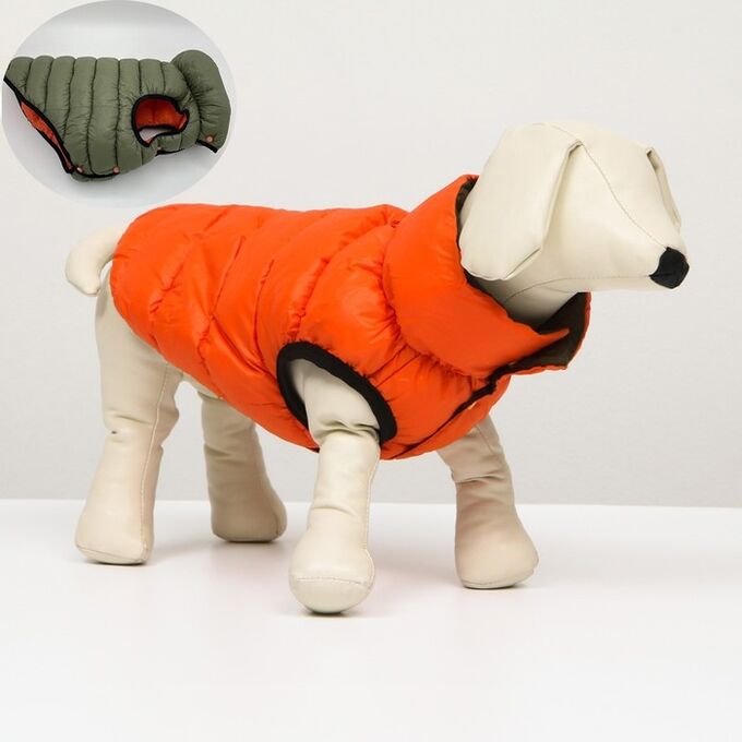 Куртка для собак двухсторонняя с воротником, ДС 46, ОШ 36, ОГ 68, оранжевая/зелёная