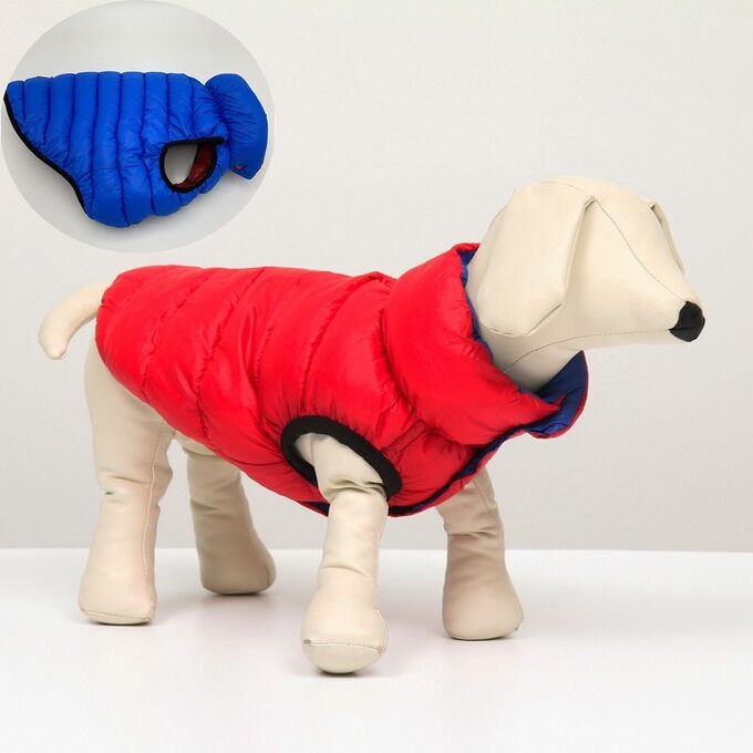 Куртка для собак двухсторонняя с воротником, ДС 28, ОШ 28, ОГ 47, красная/синяя
