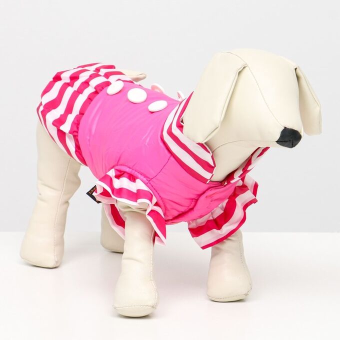 СИМА-ЛЕНД Курточка для собак с воланами, размер 5 (ДС 39,ОШ 38, ОГ 49 см), розовая