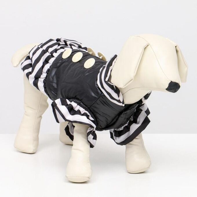 Курточка для собак с воланами,размер 6 (ДС 43,ОШ 44, ОГ 60 см), чёрная