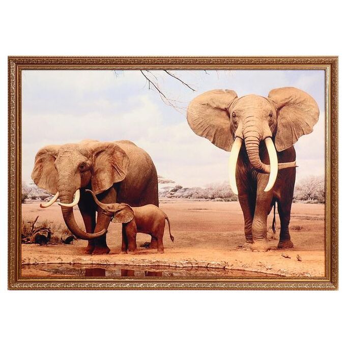 СИМА-ЛЕНД Картина велюр &quot;Африканские слоны&quot; 100х70 (107х77)см
