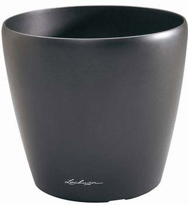 Lechuza Classico 50