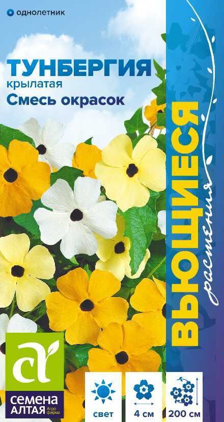 Семена Алтая Тунбергия Смесь окрасок крылатая/Сем Алт/цп 0,2 гр. Вьющиеся растения