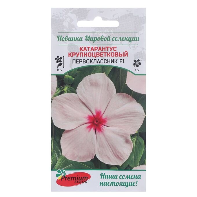 Premium seeds Семена цветов Катарантус крупноцветковый Первоклассник F1 5 шт.