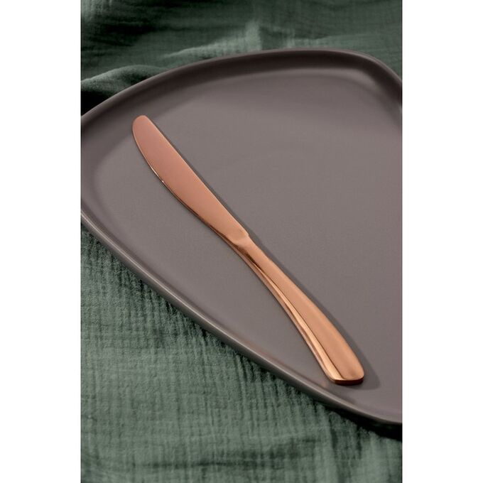 Magistro Нож столовый «Эми», 22,5?2 см, на подвесе, цвет бронзовый