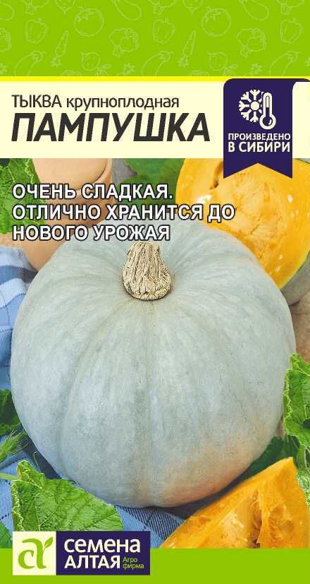 Семена Алтая Тыква Пампушка/Сем Алт/цп 2 гр.