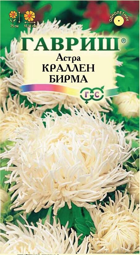 Семена (Россия) Астра Краллен Бирма когот, махр, кремово-белая, 50-60см, однол 0,3гр Гавриш/ЦВ