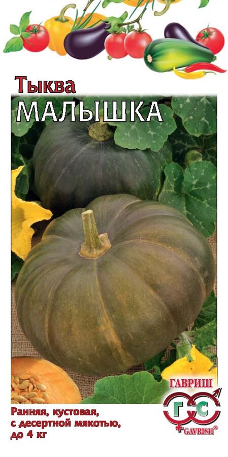 Baizheng Household Уссурийск С Тыква Малышка скороспелая, кустовая 1гр Гавриш/ЦВ