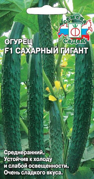 Огурец Сахарный гигант F1