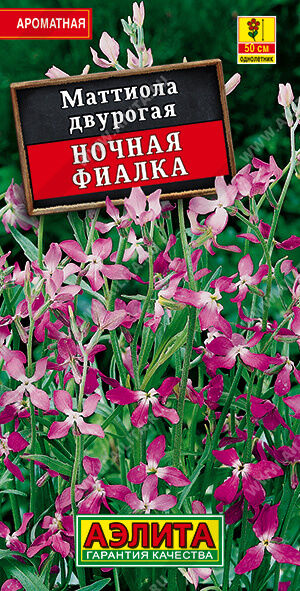 Агрофирма АЭЛИТА Маттиола Ночная фиалка