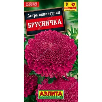 Астра Брусничка (Аэлита)