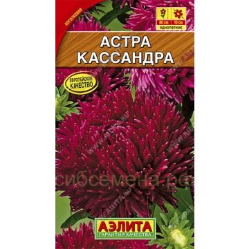 Астра Кассандра (Аэлита)