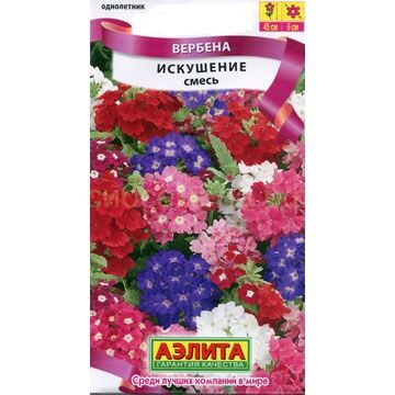 Вербена Искушение смесь (Аэлита)